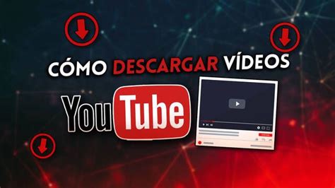 ver videos de seco|Sexo/Vida 